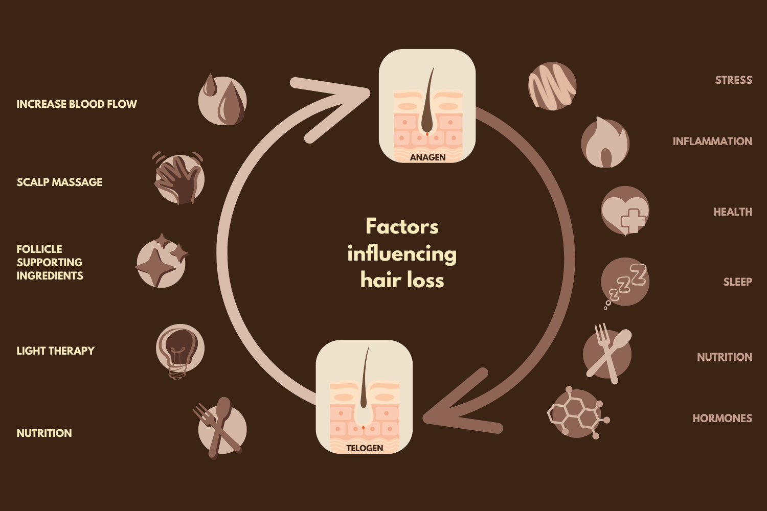 When Hair Stops Growing (and How to Help It Start Again)