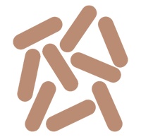 Brown microbes arranged in a scattered pattern on a white background representing microbiome