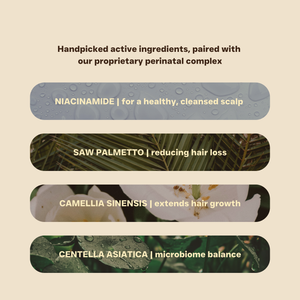 List of active ingredients included in Maze Perinatal Complex